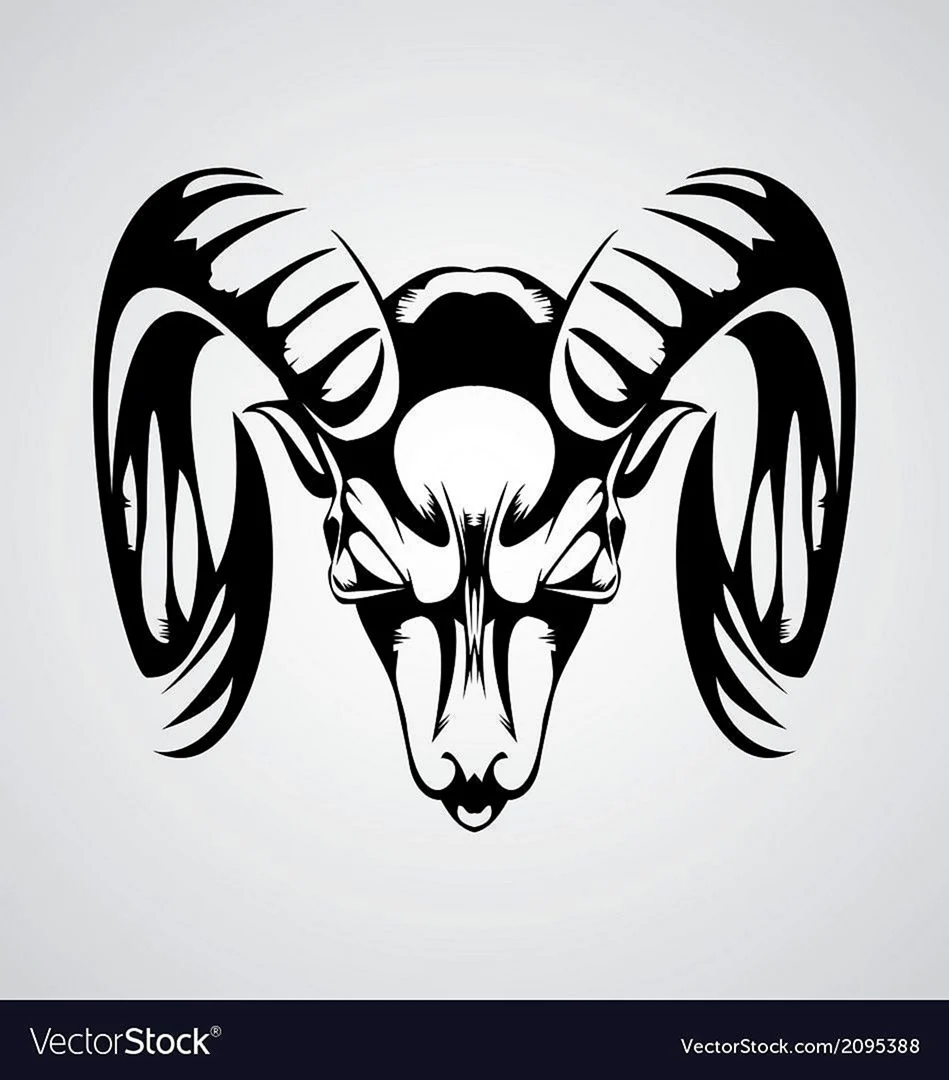 Goat head vector