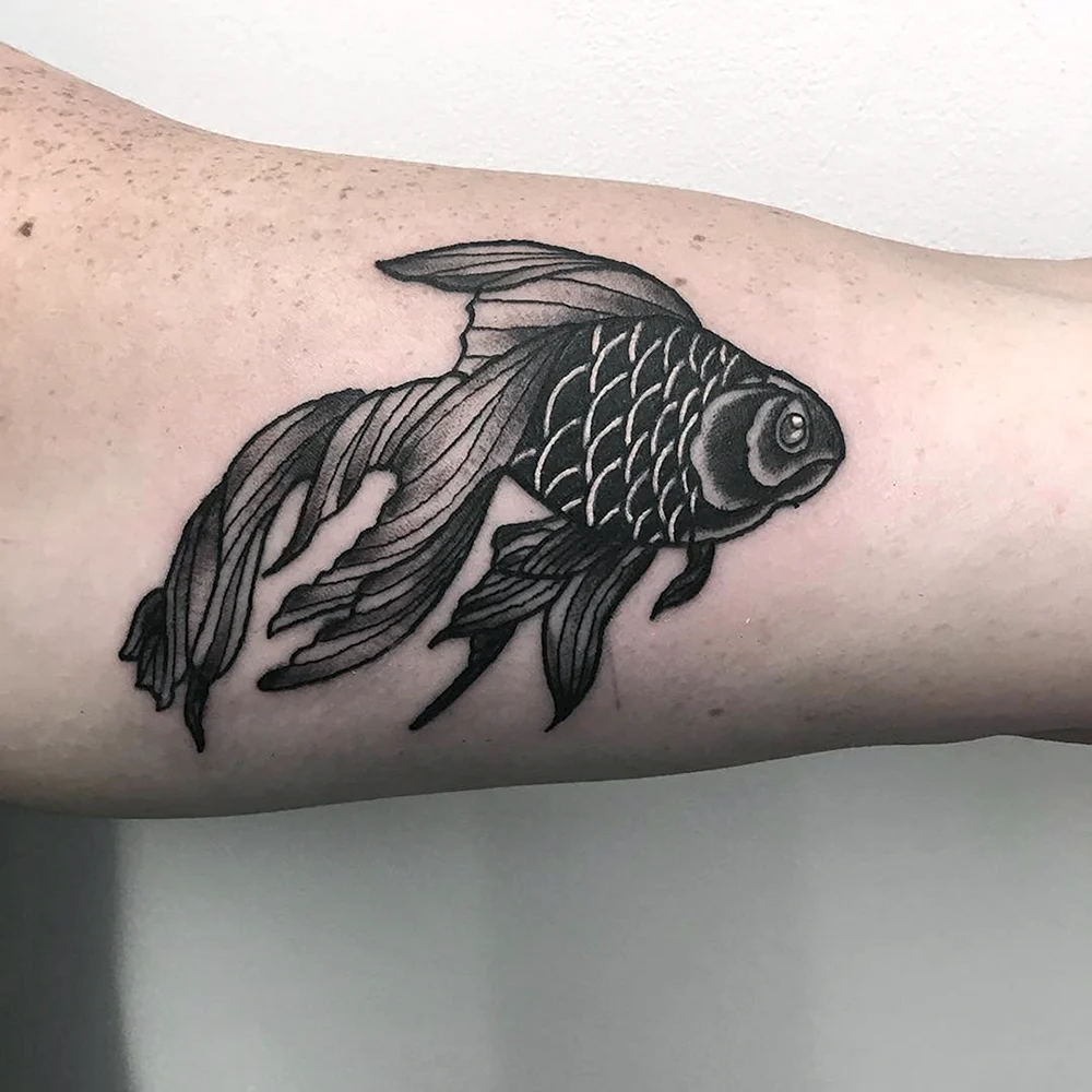 Goldfish Tattoo