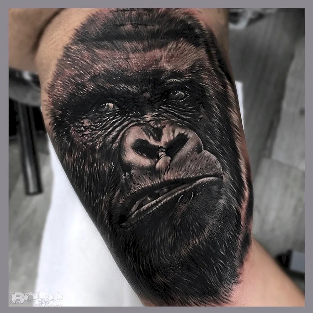 Gorilla Tattoo