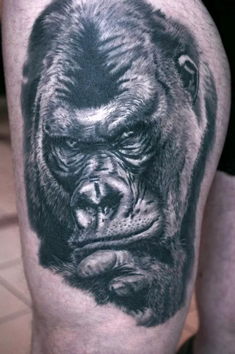 Gorilla Tattoo reference
