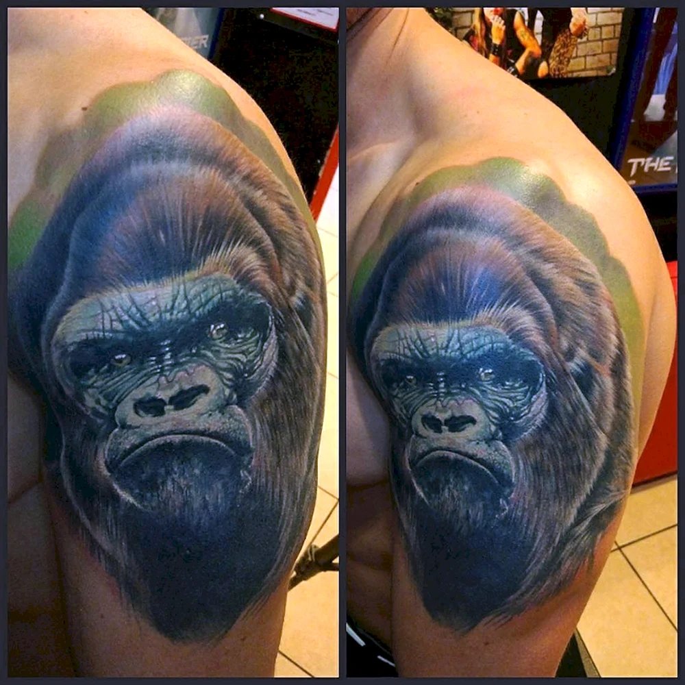 Gorilla Tattoo traditionell