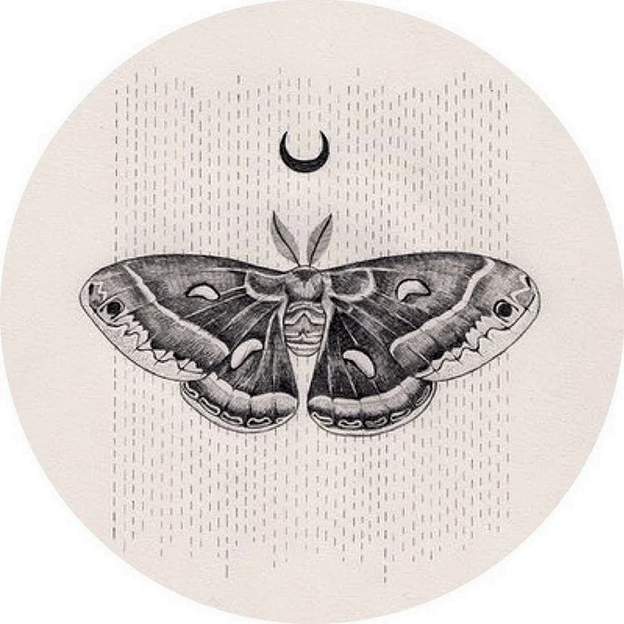 Gothic Moth