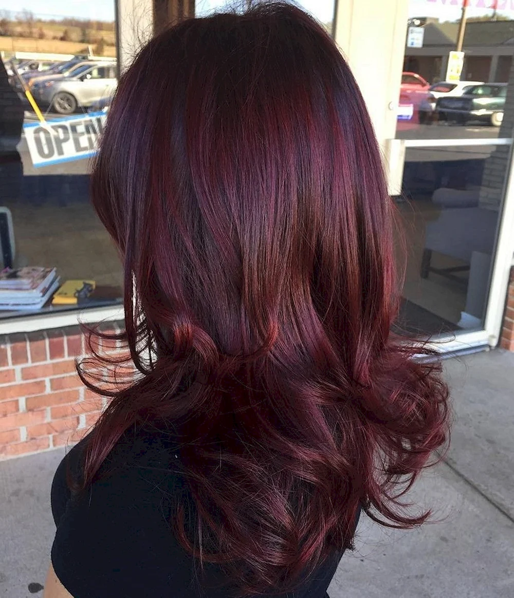 Hair Color Dark Red Purple