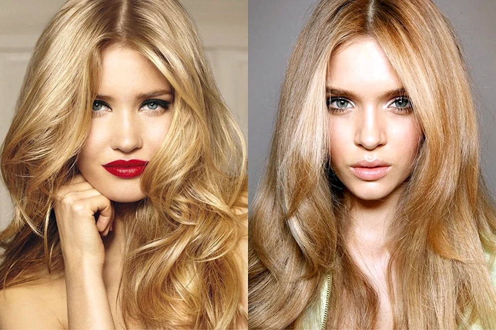 Hair Colors blonde vs Black