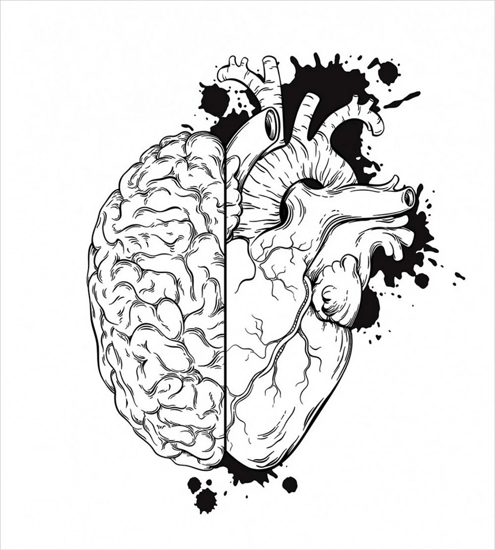 Half Heart half Brain