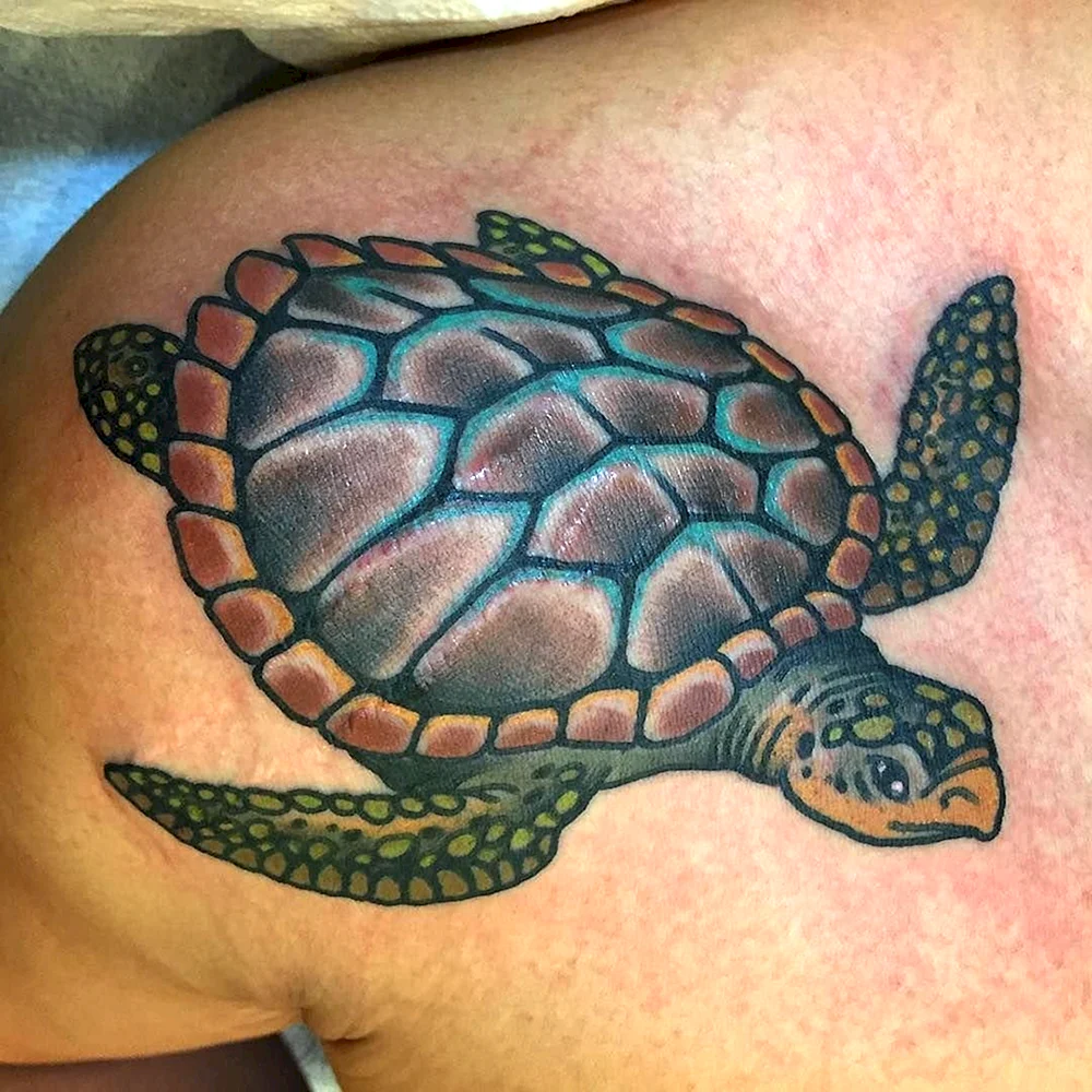 Hand Turtle Tattoo