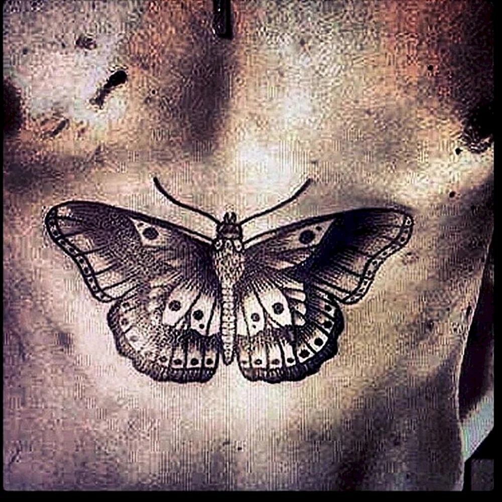 Harry Styles Butterflies