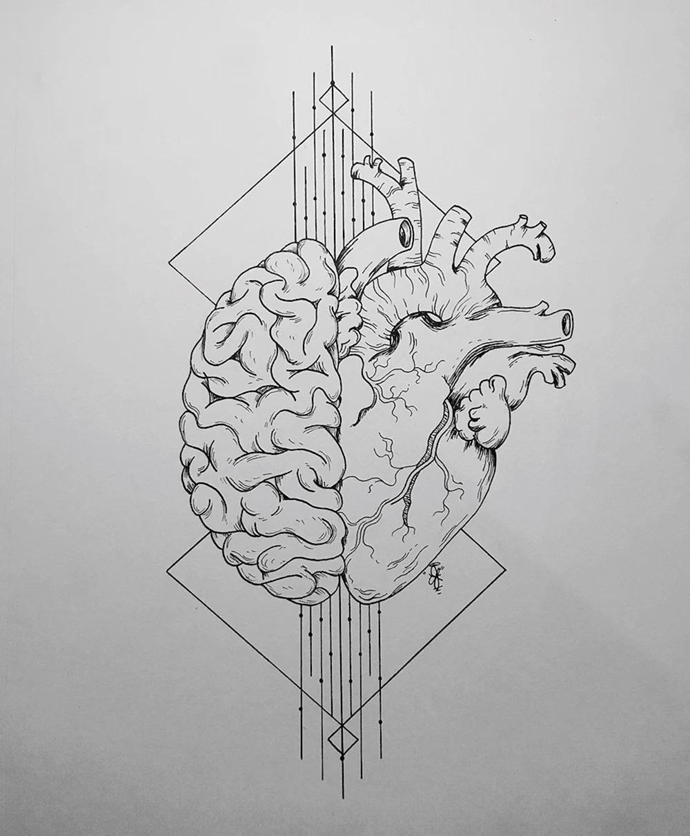 Heart and Brain Sketch
