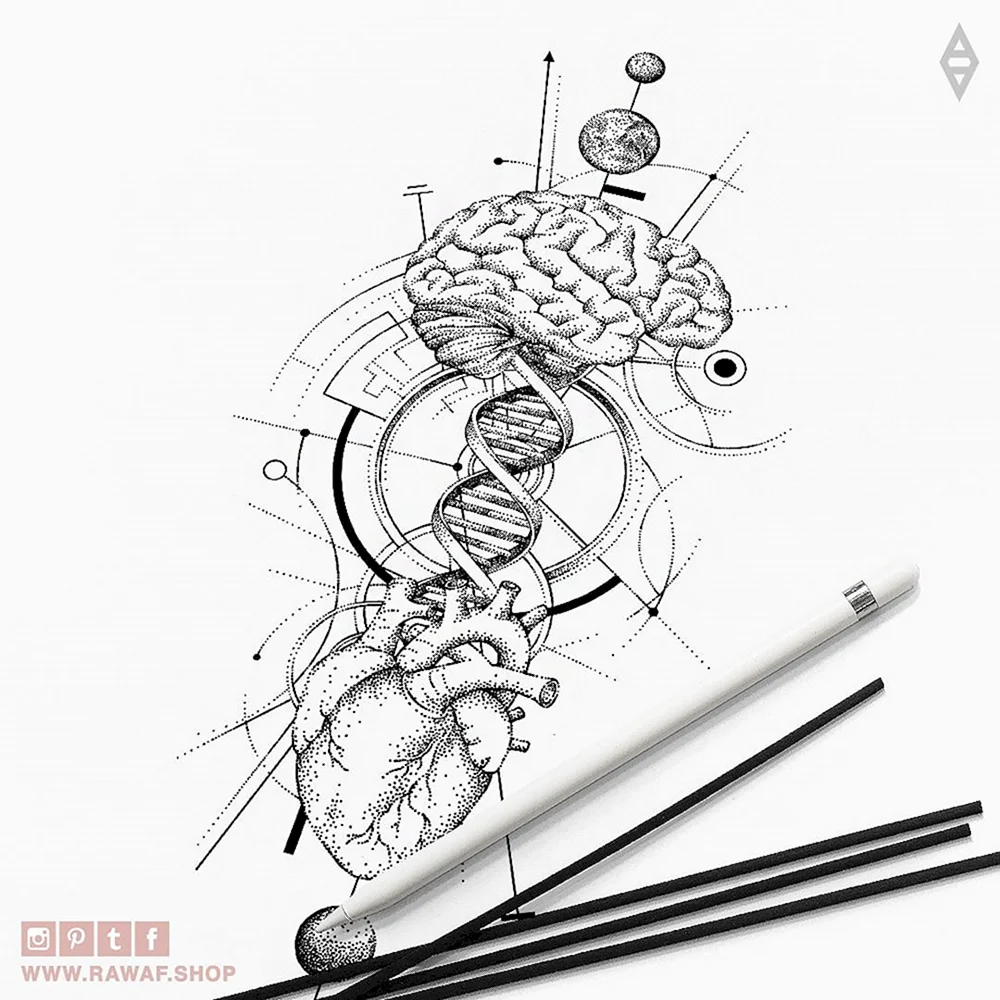 Heart Brain DNA DNA Tattoo