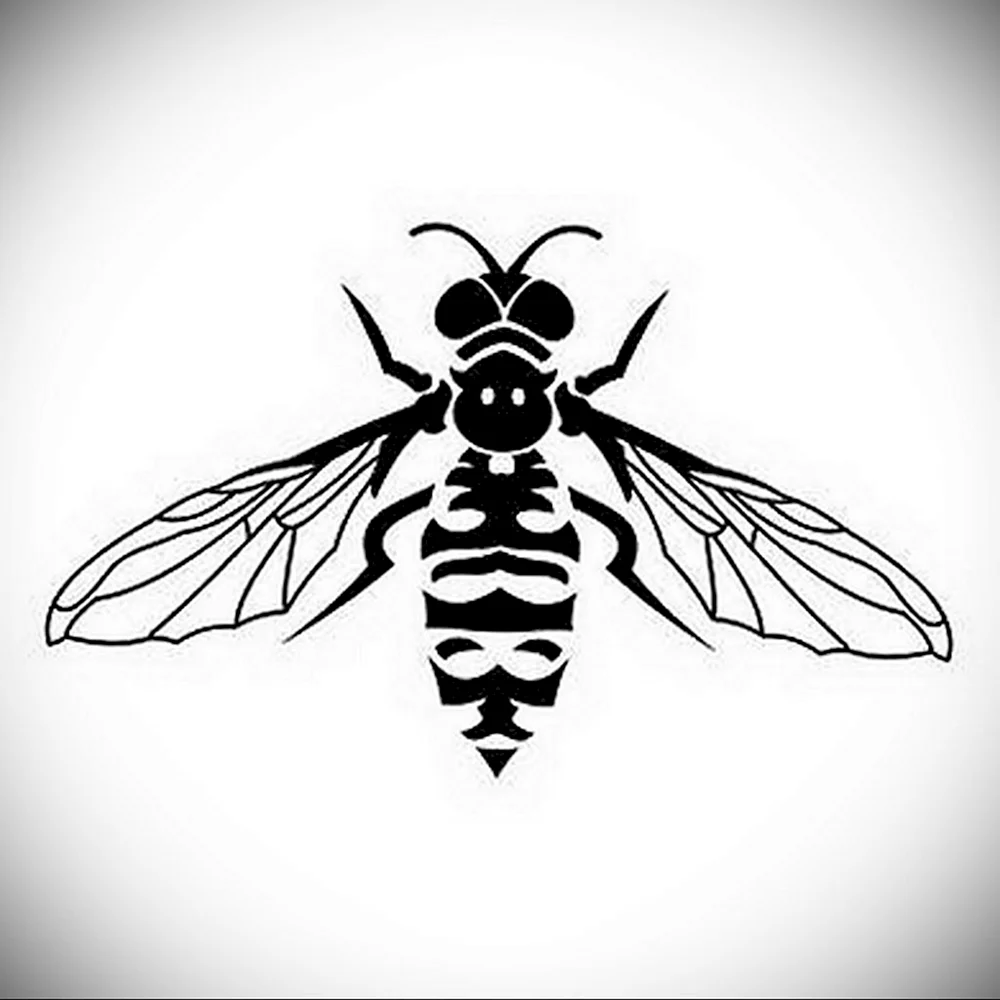 Insect logo