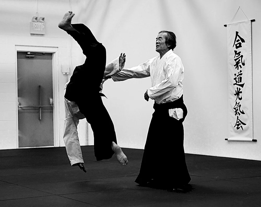 Japan Aikido