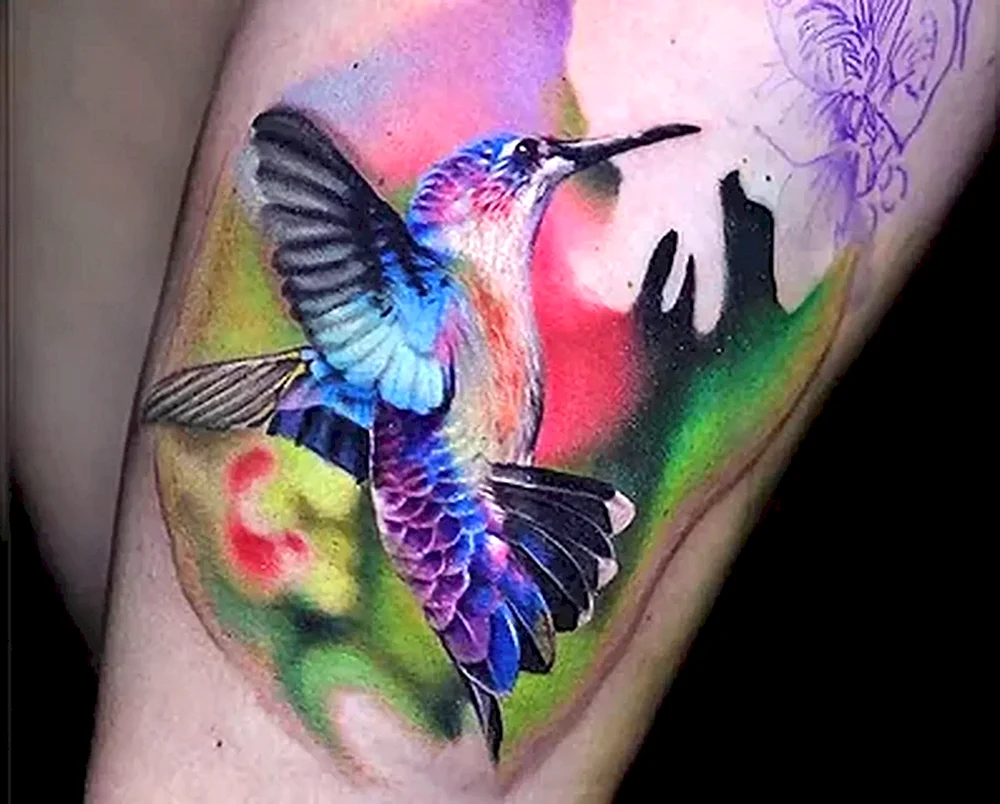 Kolibri Design