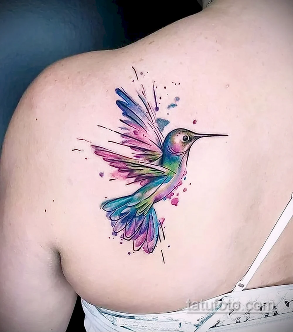 Kolibri Tattoo