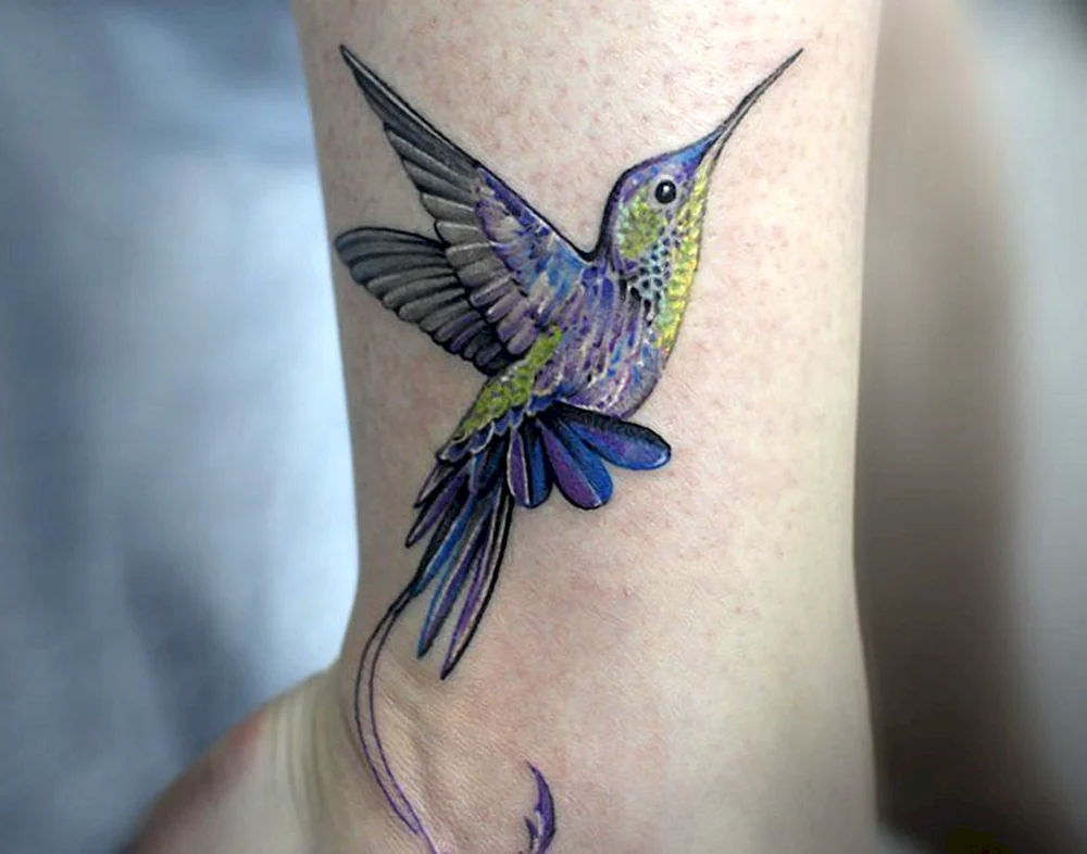 Kolibri Tattoo Bein