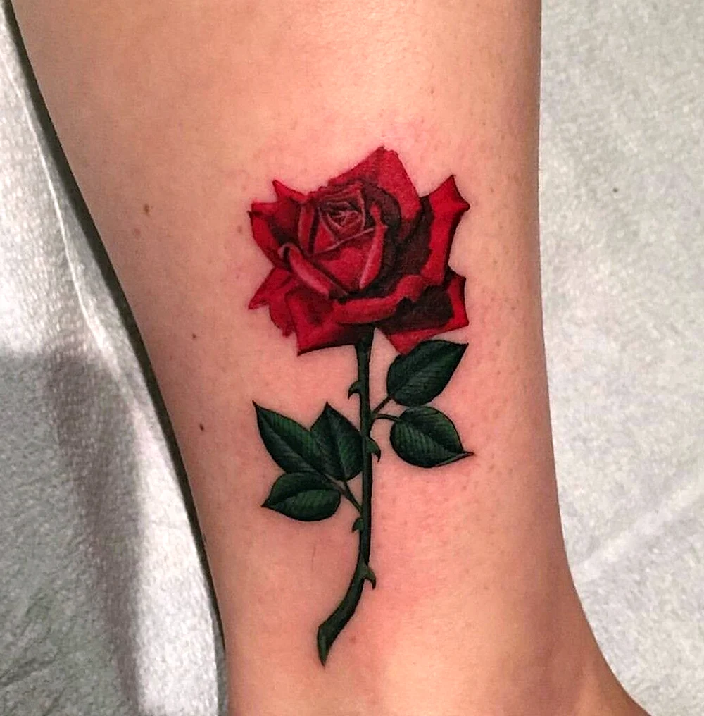 Красная роза тату