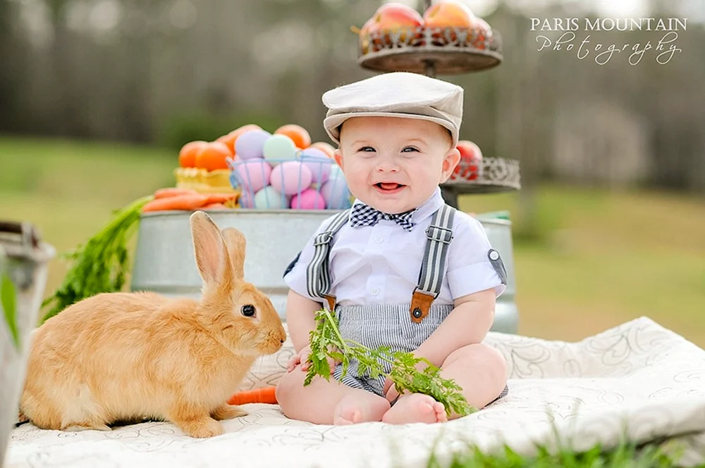 Кролик для детей