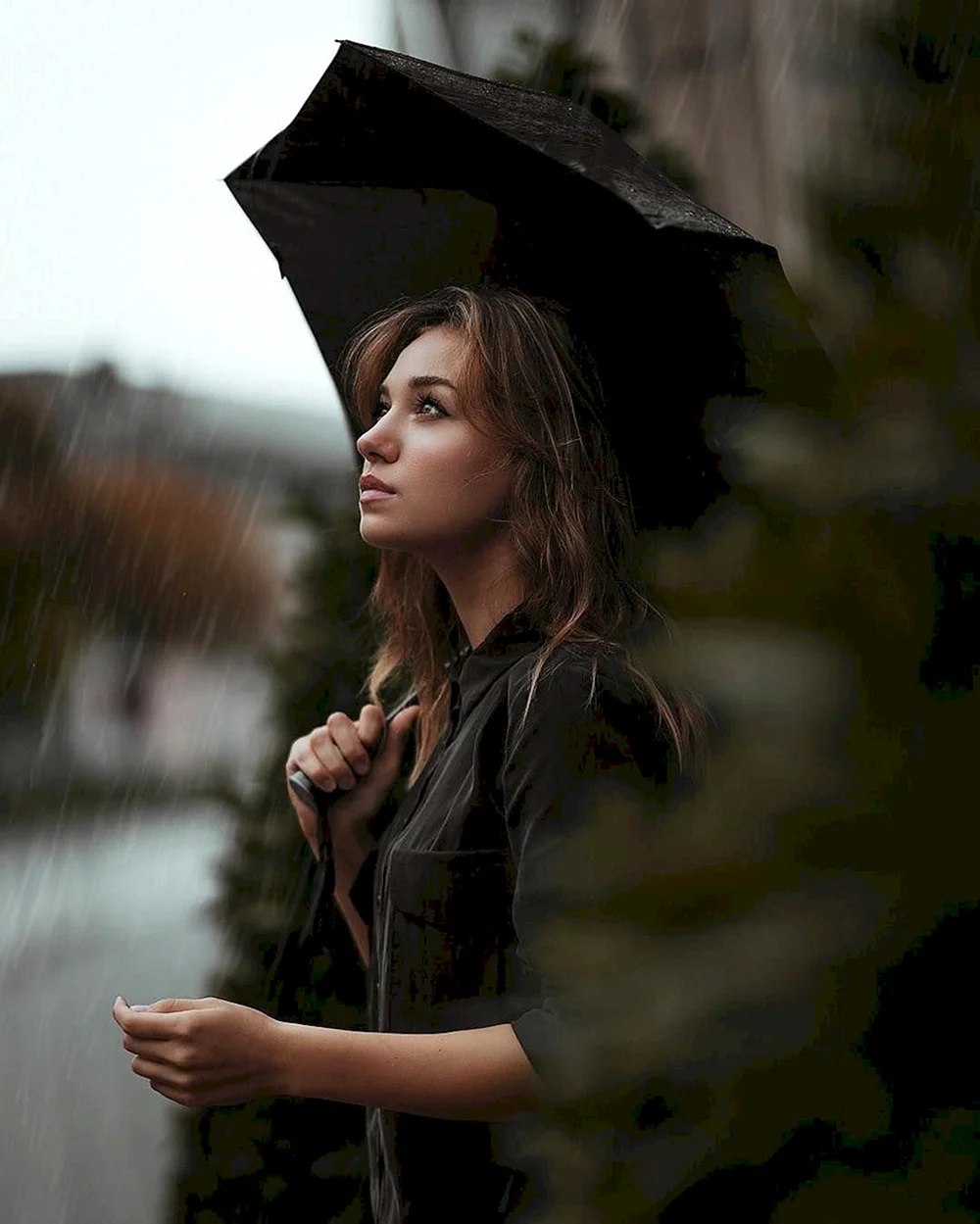 Lady in Rain