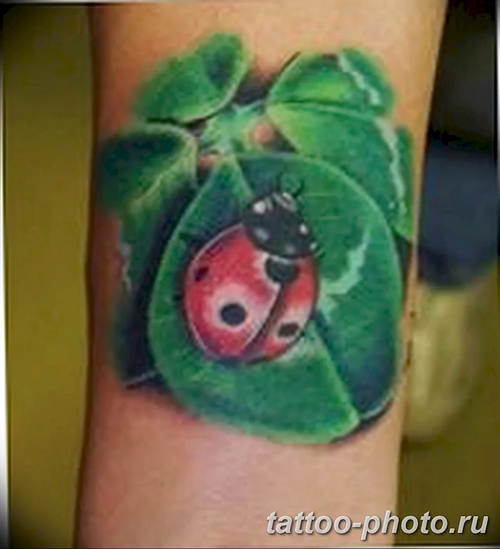 Ladybug and Mushroom Tattoo
