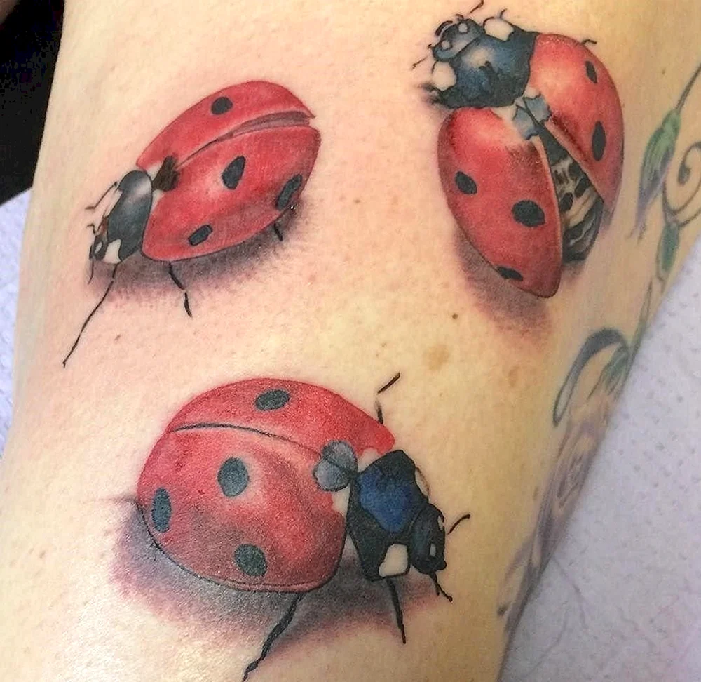 Ladybug Tattoo Fantasy