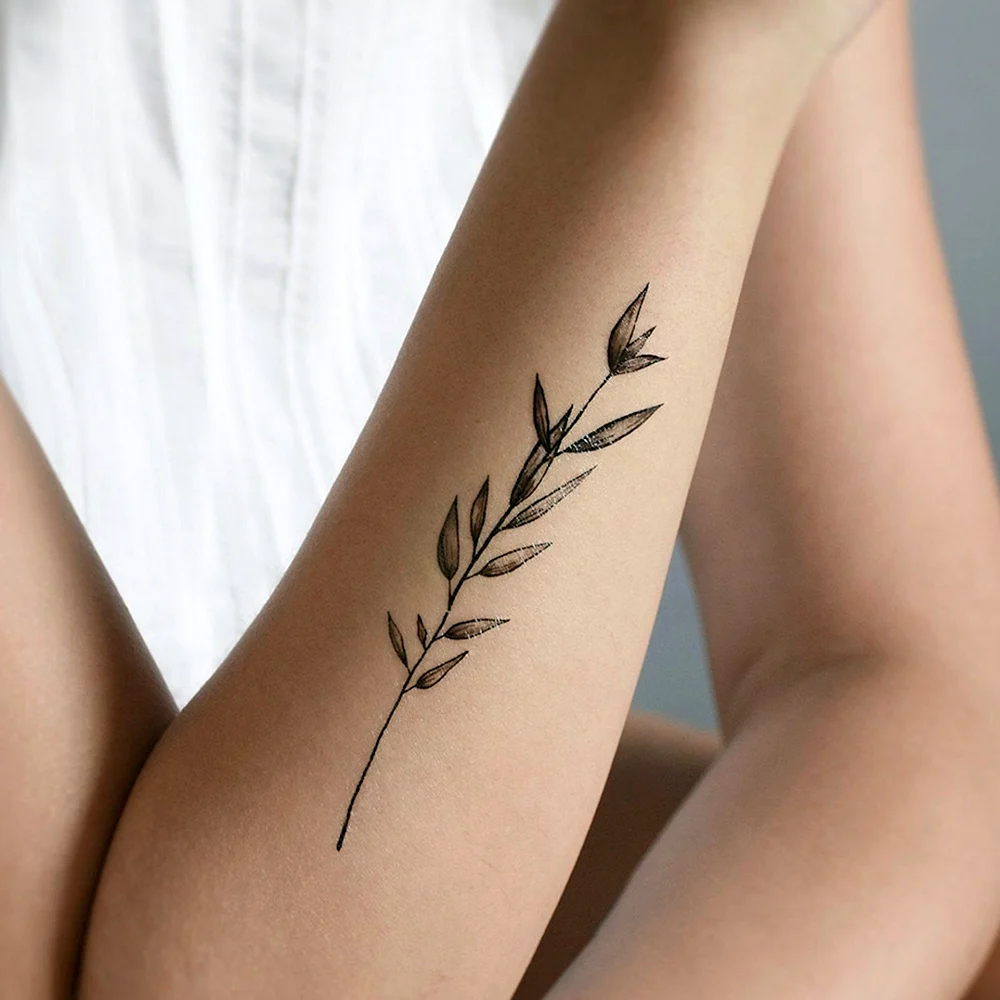Leaves Branch Tattoo