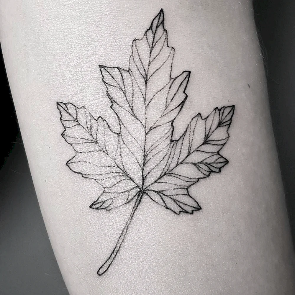 Leaves Tattoo