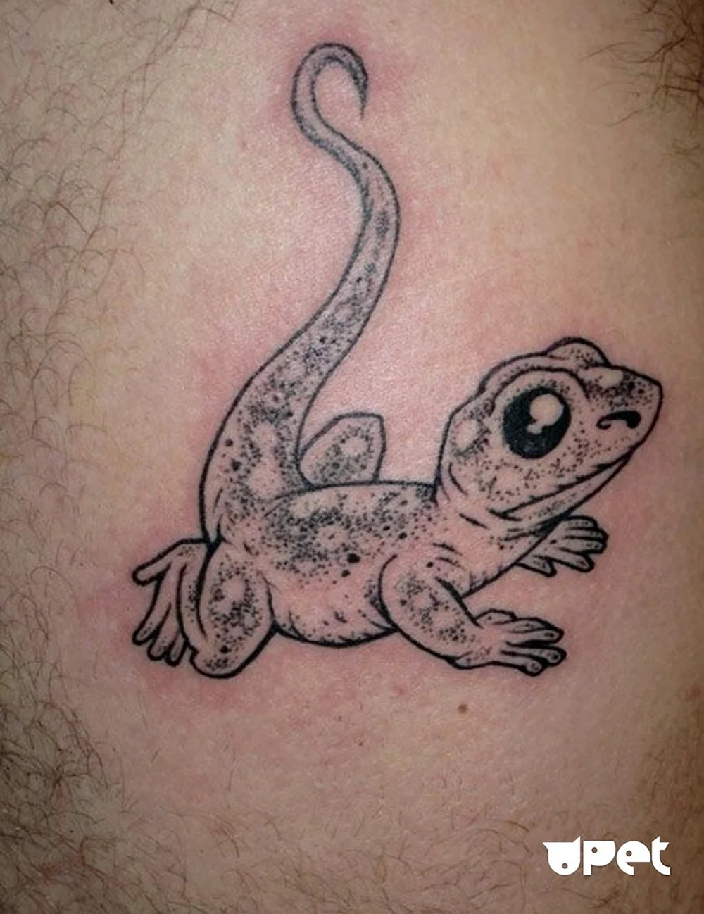 Leopard Gecko Tattoo