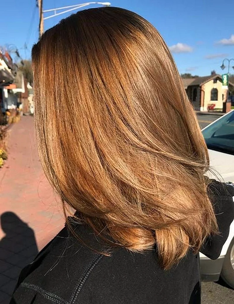 Light Golden Brown hair
