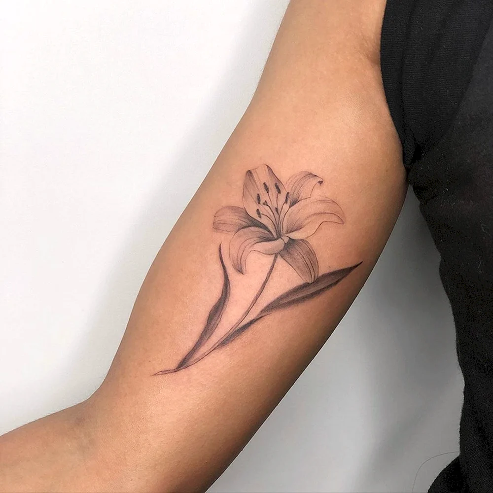 Lilie tatuaż