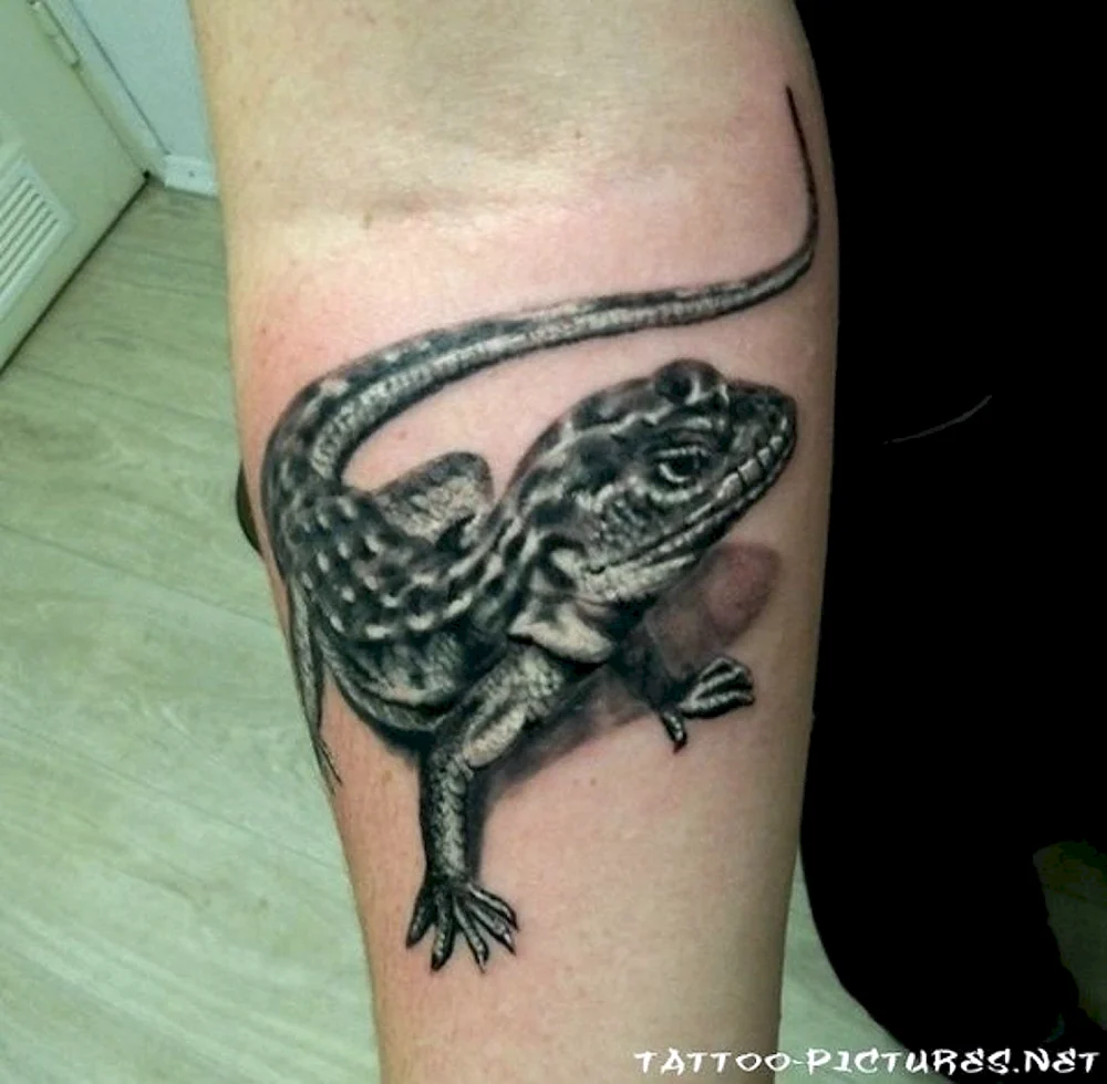 Lizard realistic Tattoo