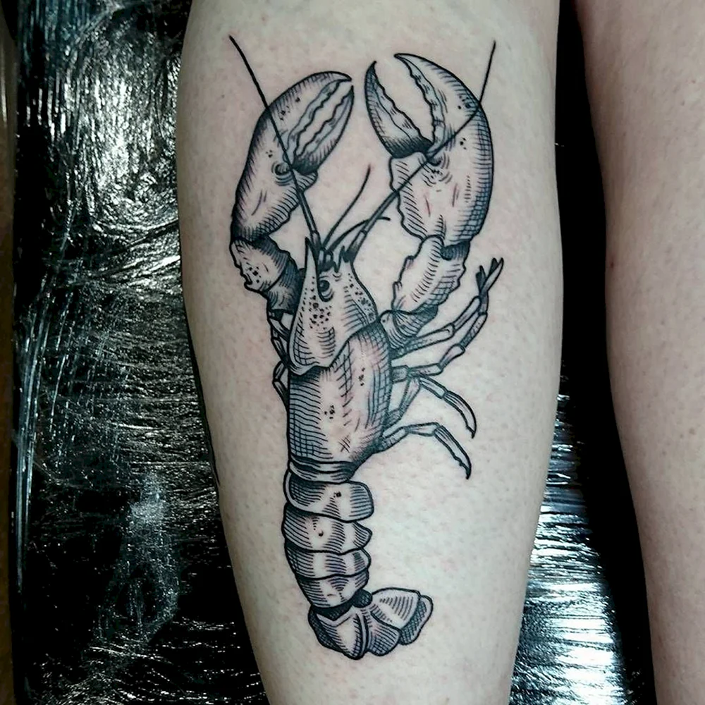 Lobster Tattoo Sketch