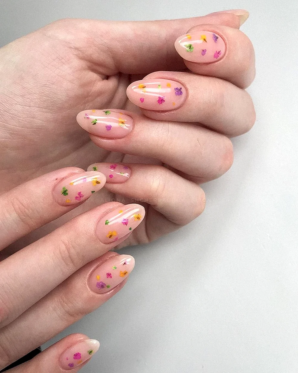 Маникюр сухоцветы на ногтях