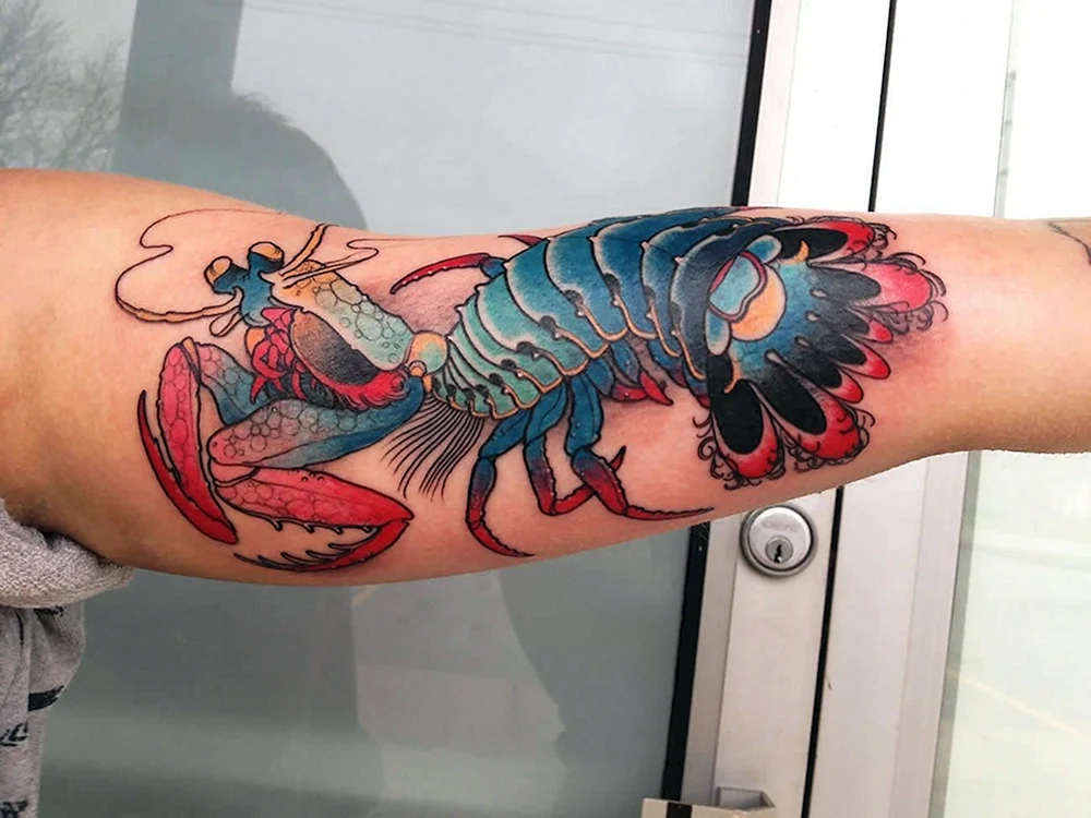 Mantis Shrimp Tattoo