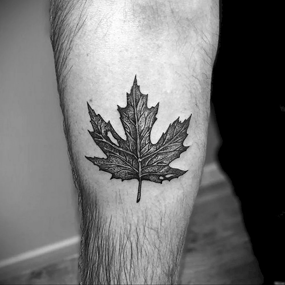 Maple leaves Tattoo