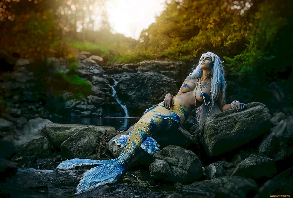 Mermaid Cosplay