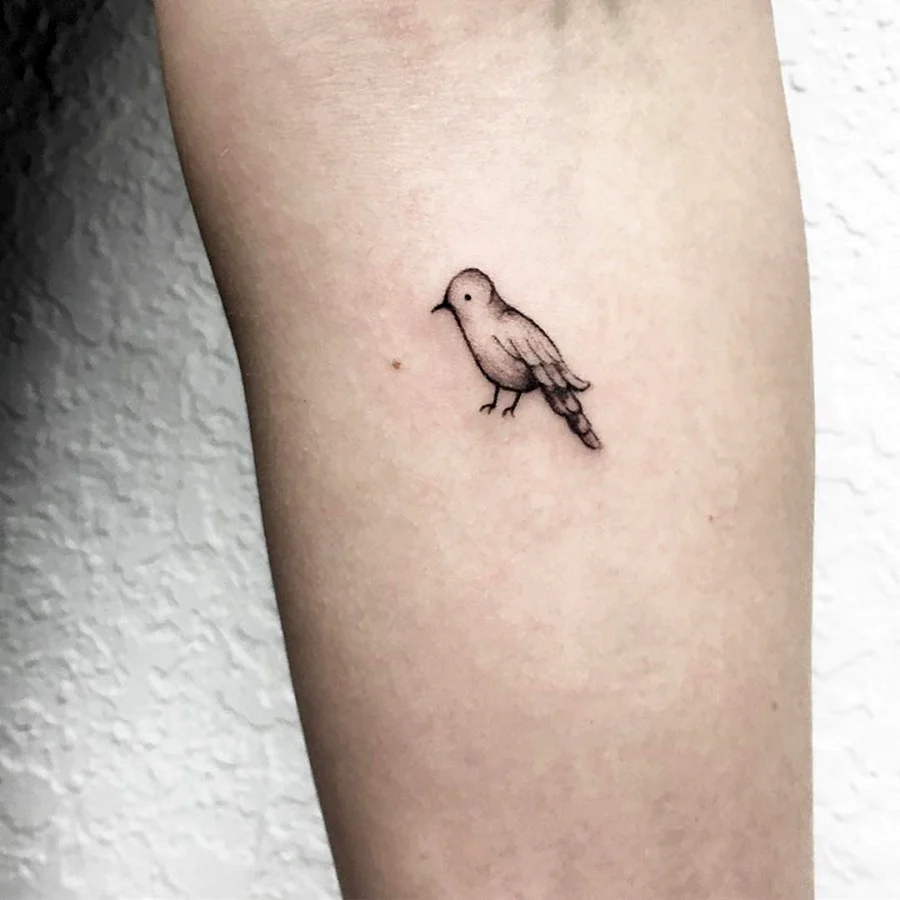 Minimalist Bird colored Tattoo ideas