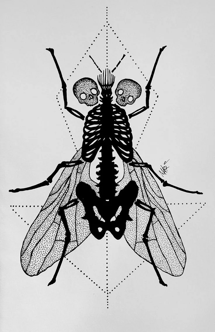 Monster Flying insect drawing