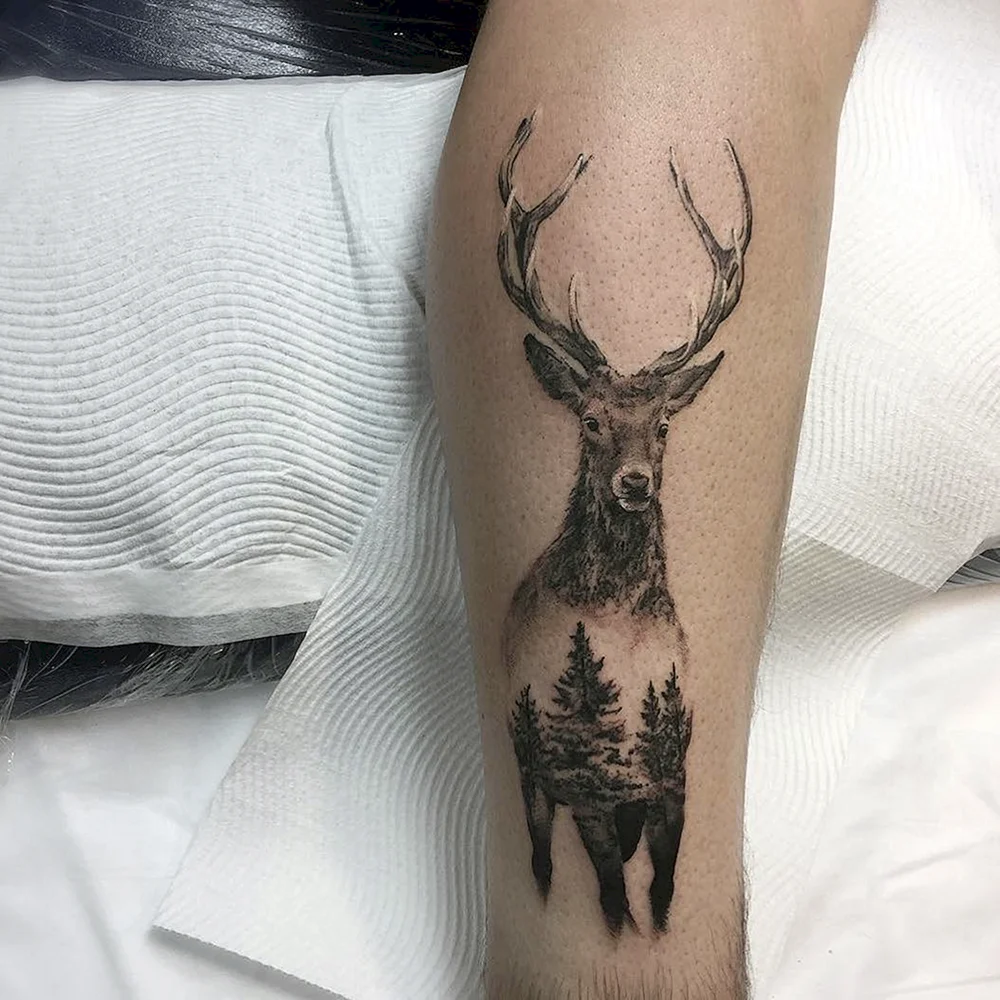 Mountain Deer Tattoo