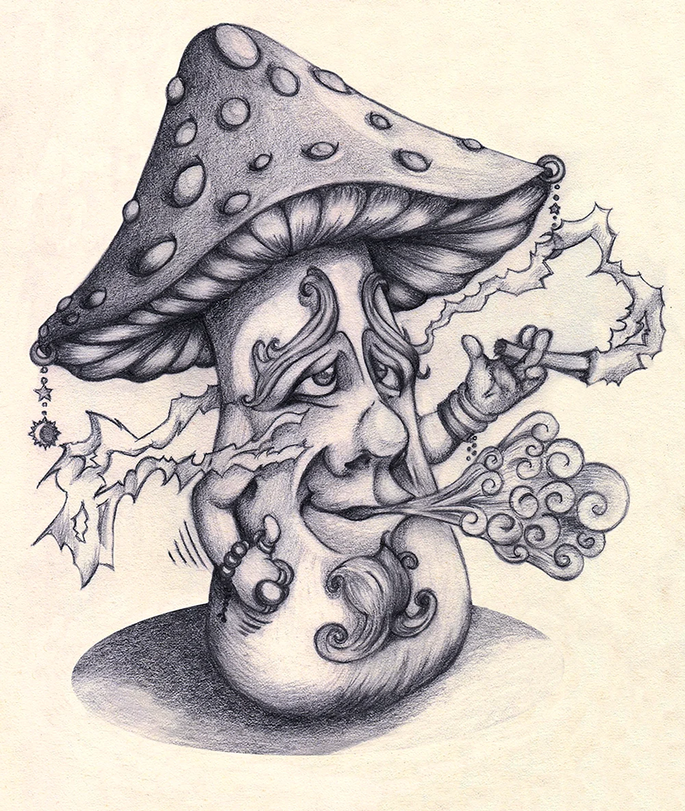 Mushroom Stoner