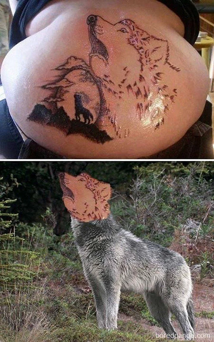 Неудачное тату волка