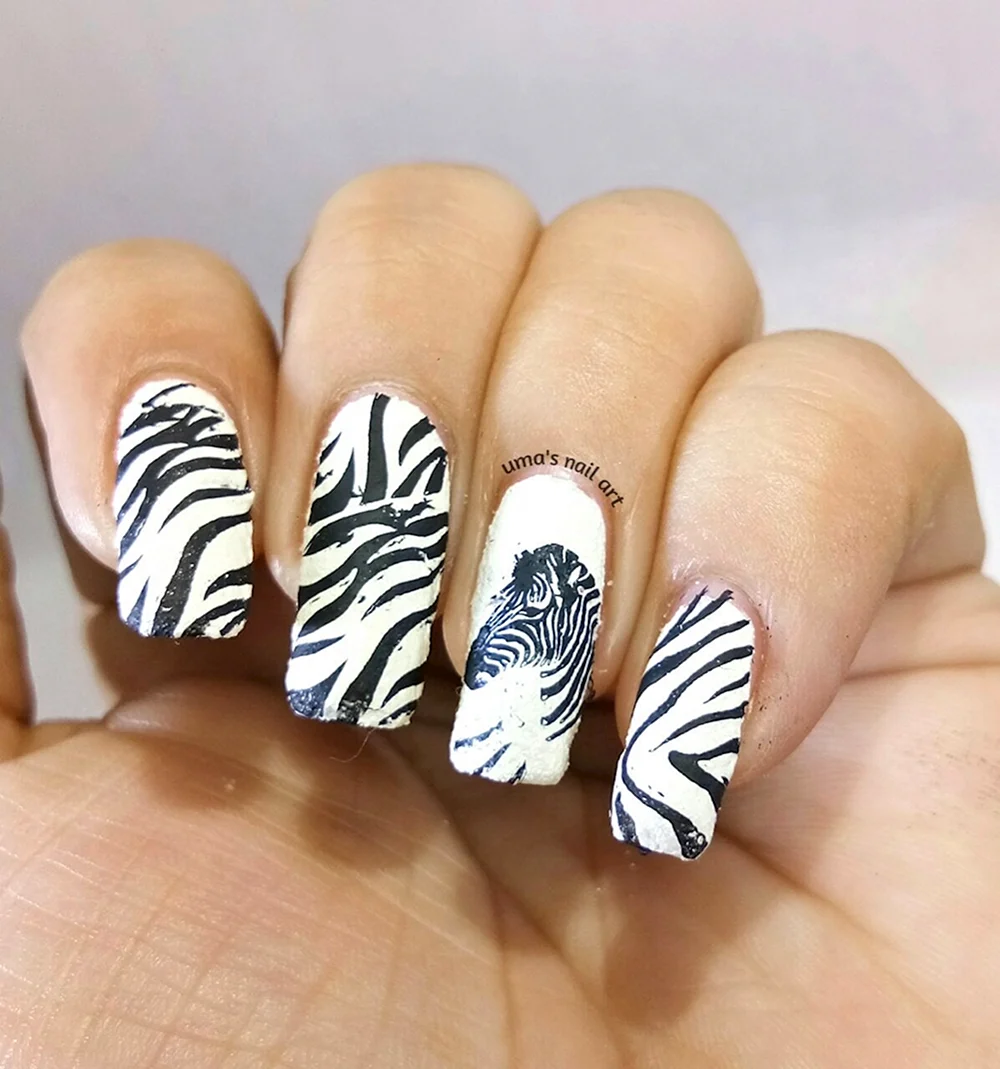 Ногти с принтом зебры
