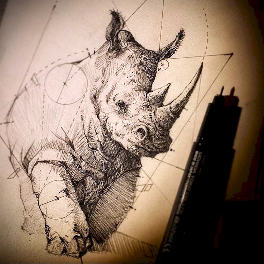 Носорог эскиз