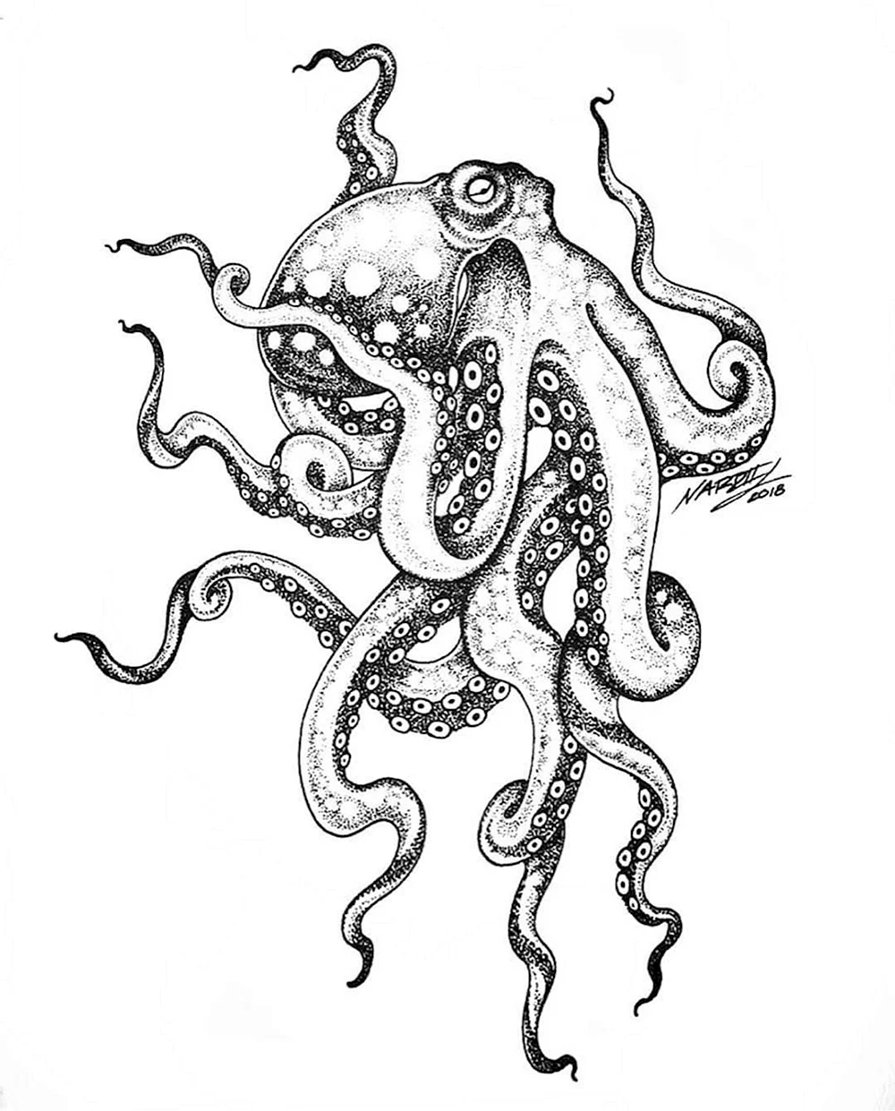 Octopus dotwork