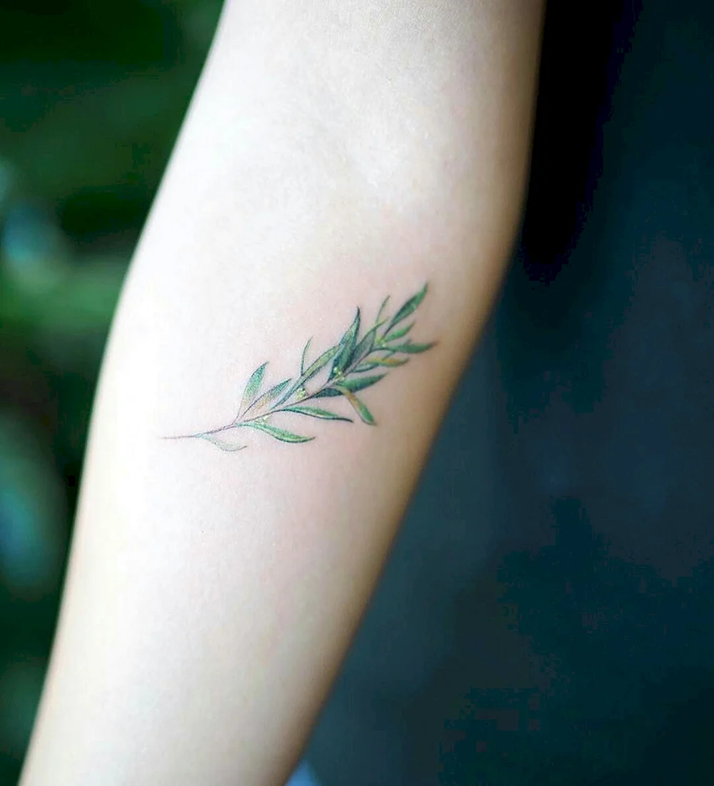 Olive Branch Tattoo