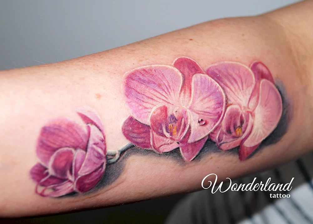Orchid Tattoo Flower PNG