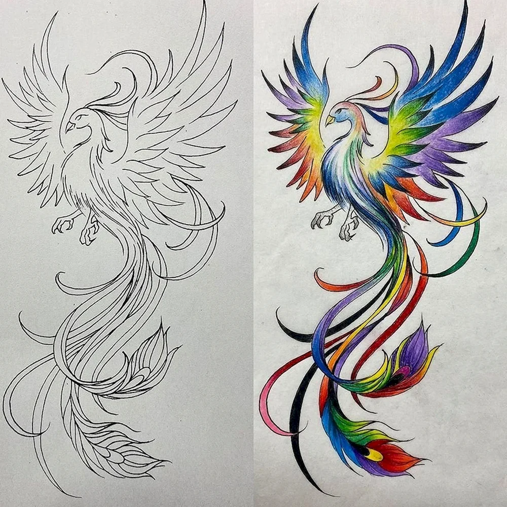 Phoenix Tattoo Sketch