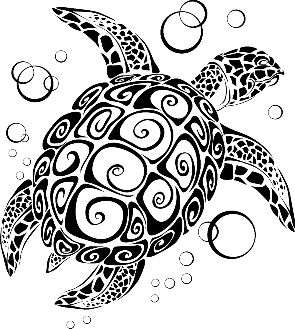 Polynesian Turtle