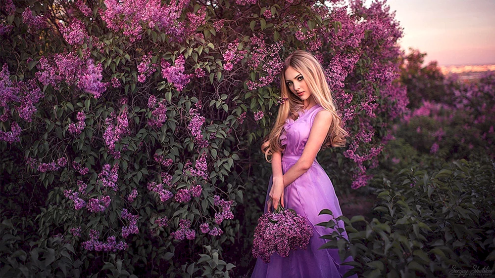 Purple Dress Wallpaper