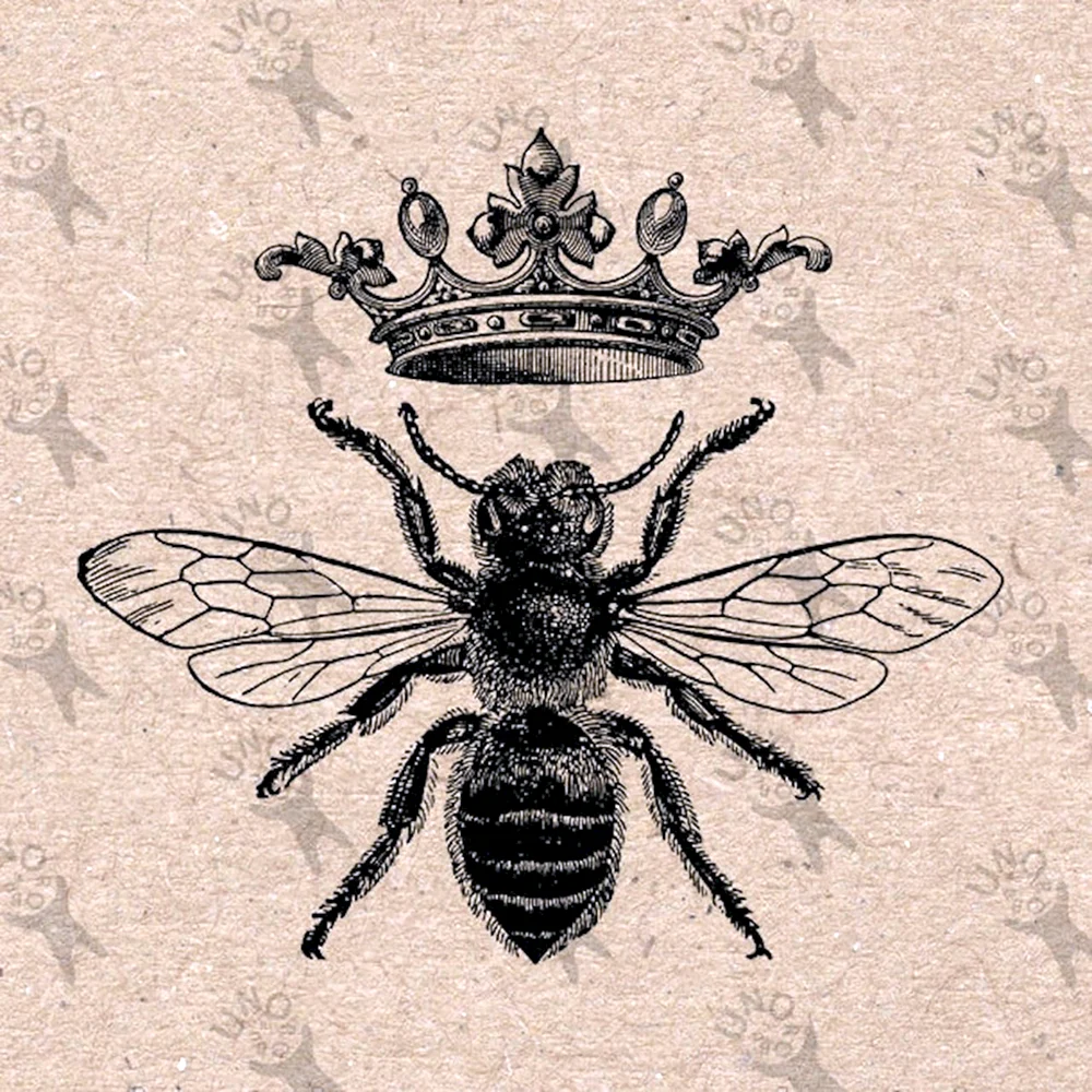 Queen Bee Andrew