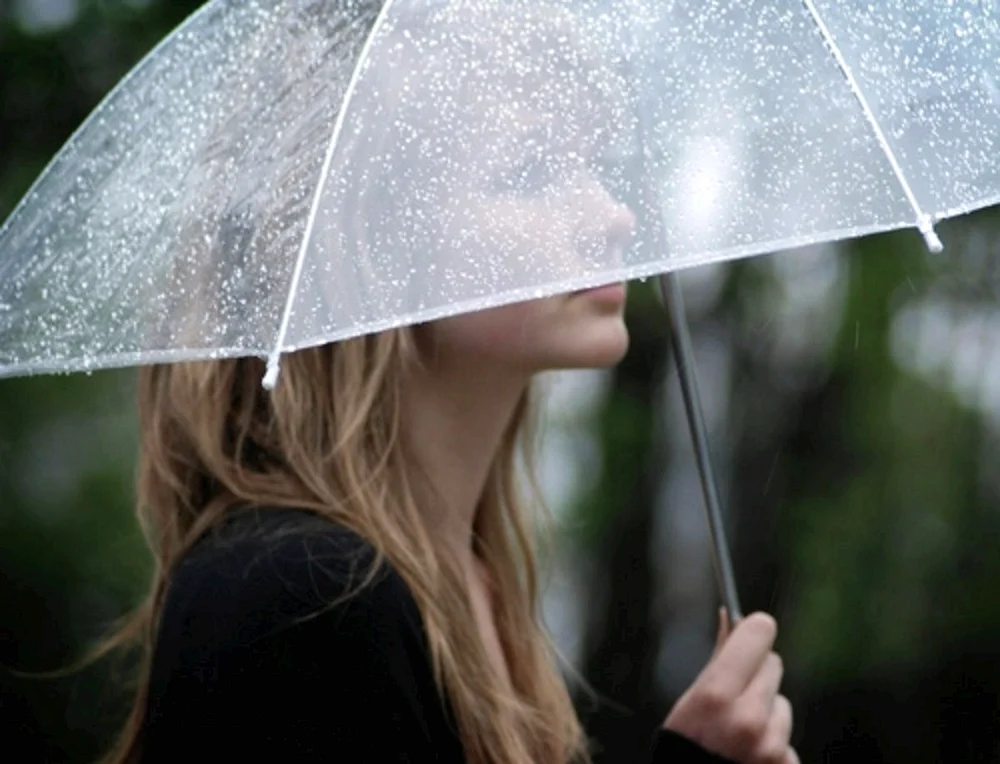 Rain under Umbrella