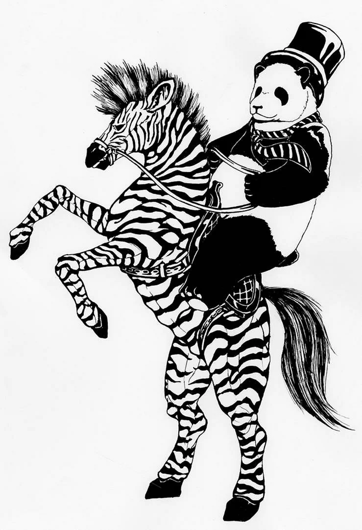 Ride Zebra